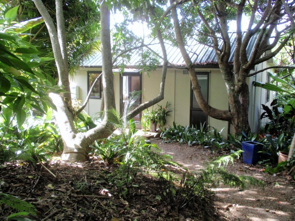 Wharepuke Subtropical Accommodation Kerikeri Chambre photo