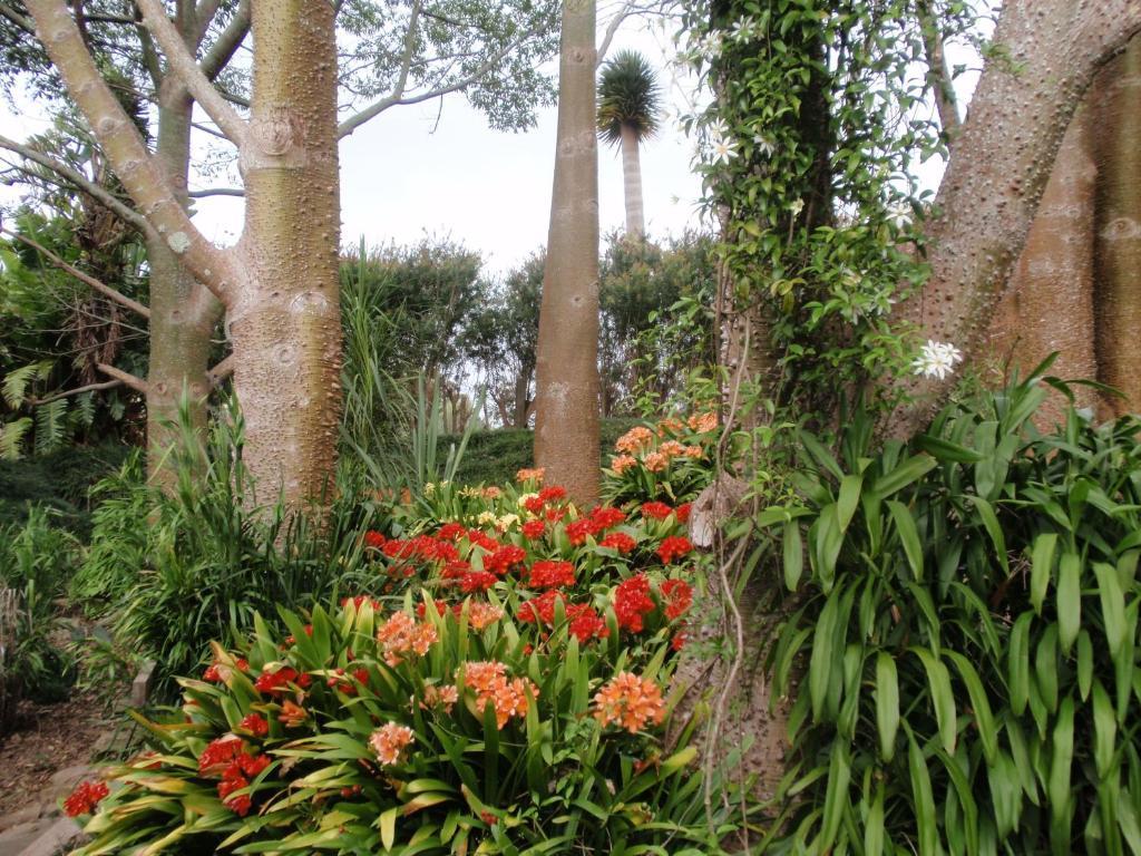 Wharepuke Subtropical Accommodation Kerikeri Extérieur photo