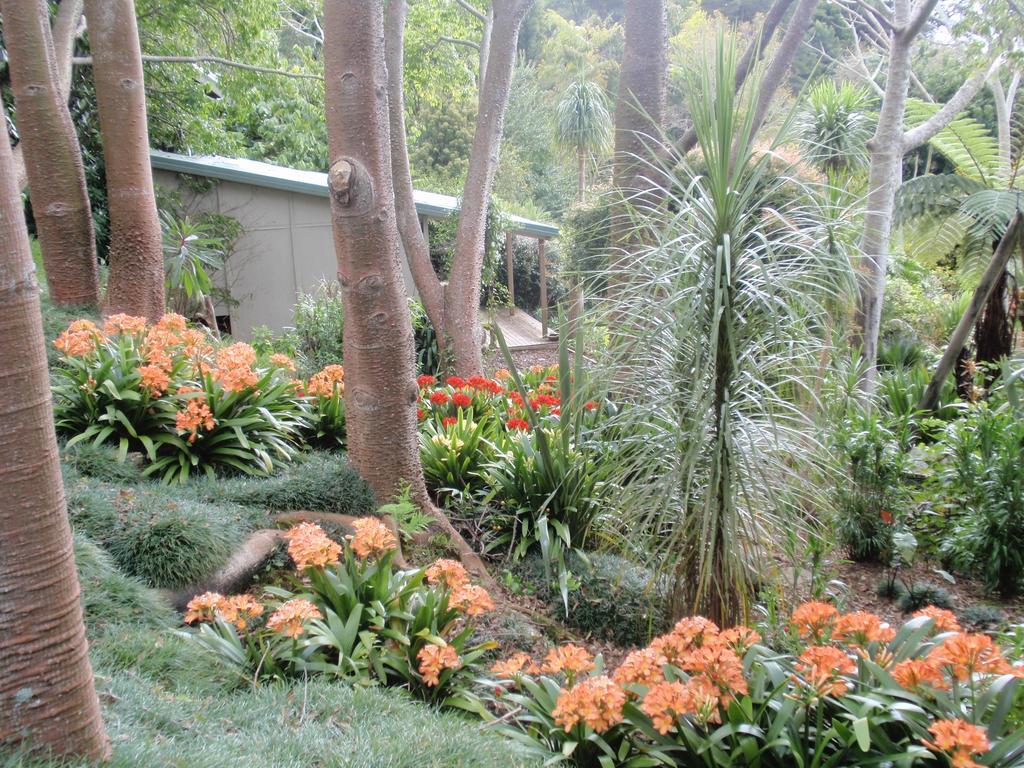 Wharepuke Subtropical Accommodation Kerikeri Extérieur photo