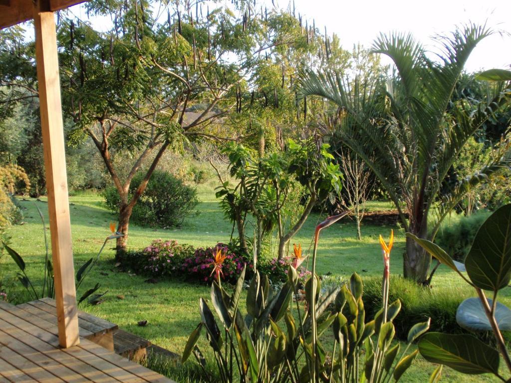 Wharepuke Subtropical Accommodation Kerikeri Chambre photo