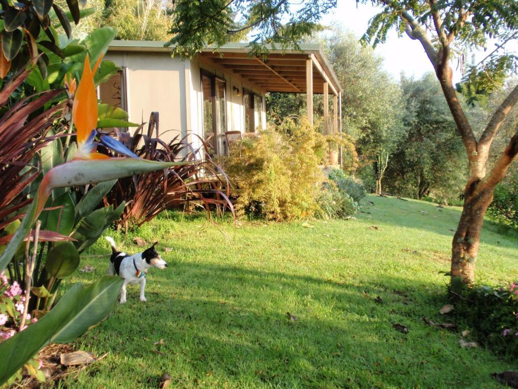 Wharepuke Subtropical Accommodation Kerikeri Chambre photo
