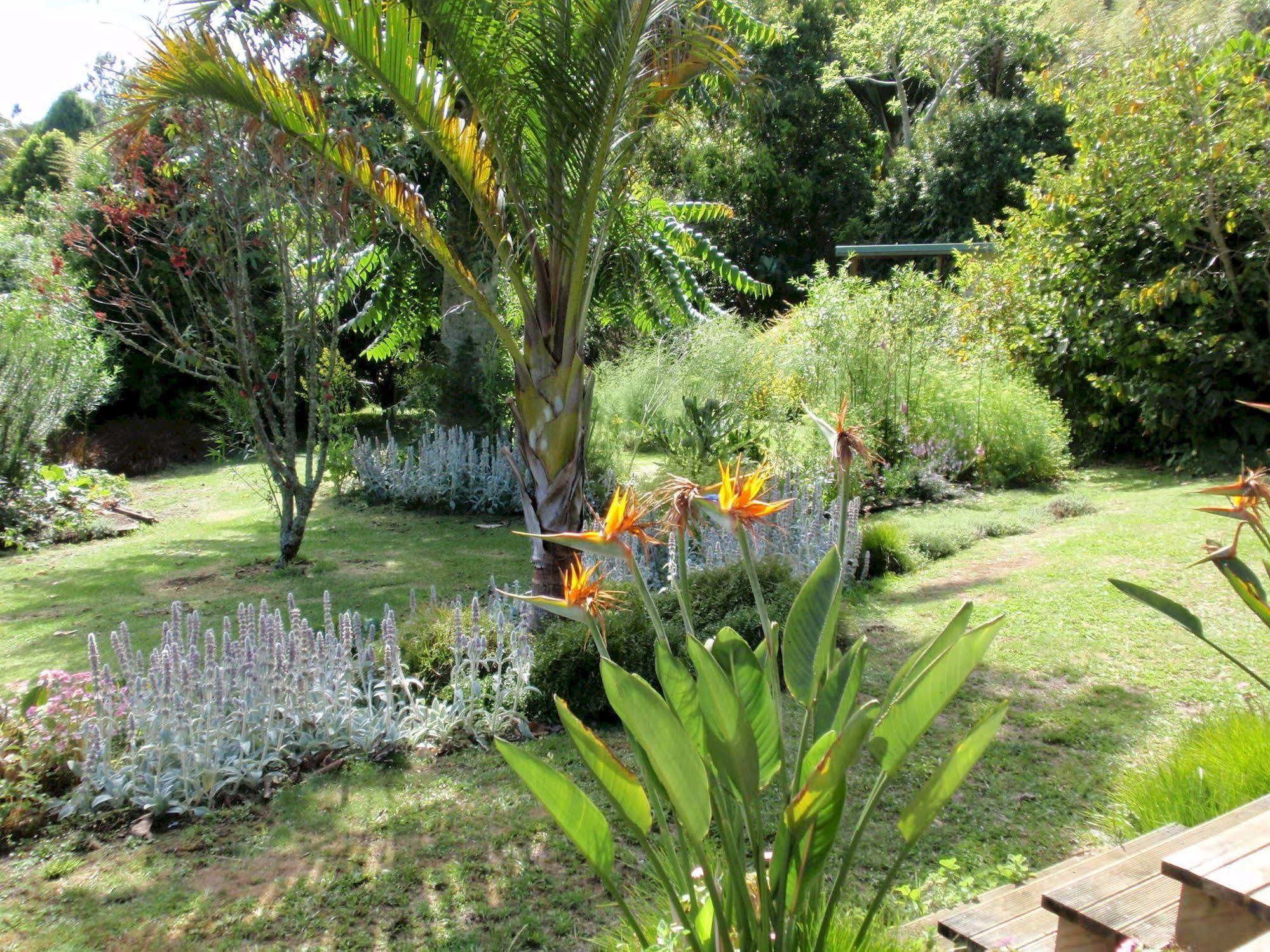 Wharepuke Subtropical Accommodation Kerikeri Extérieur photo