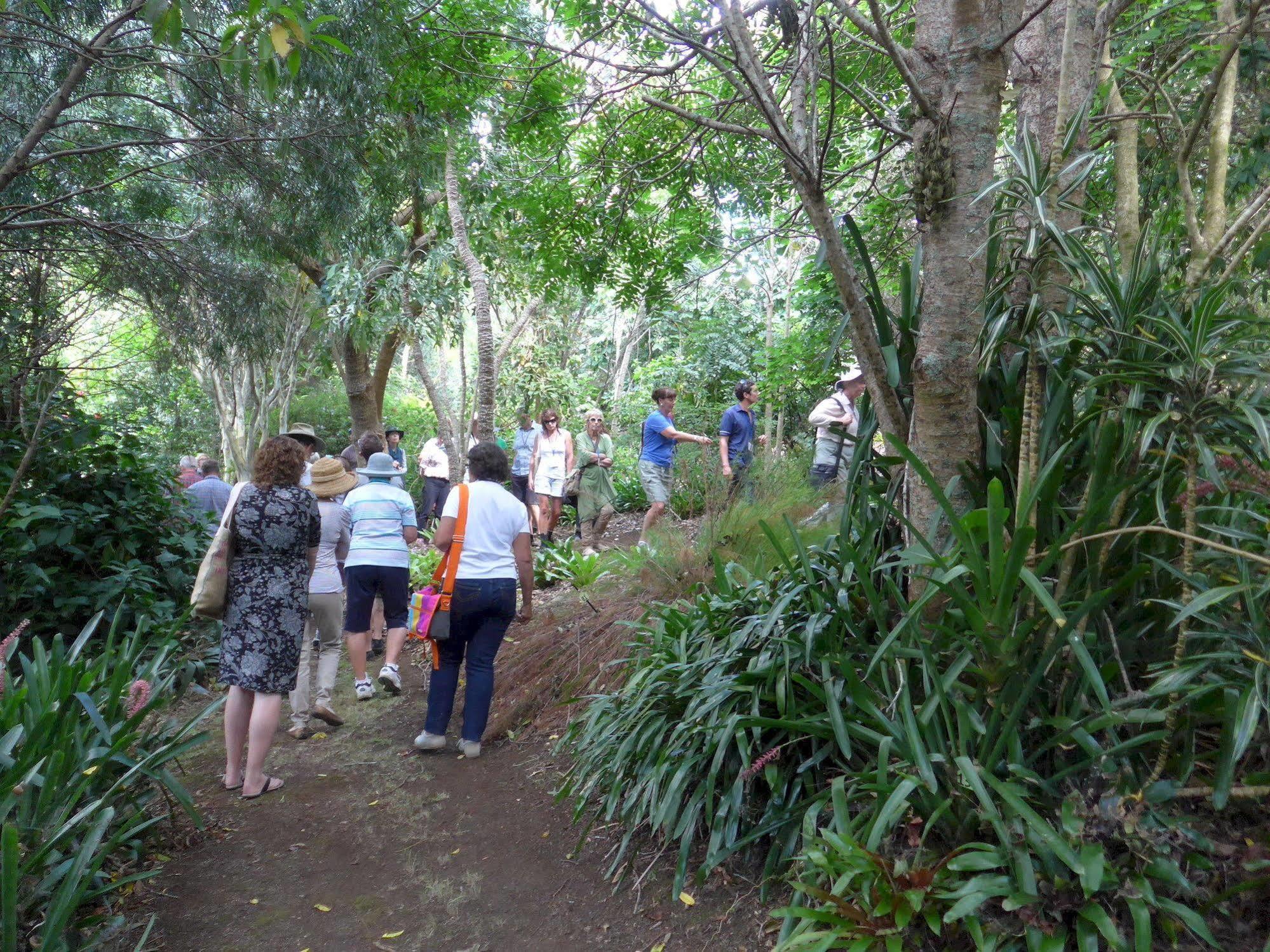 Wharepuke Subtropical Accommodation Kerikeri Extérieur photo