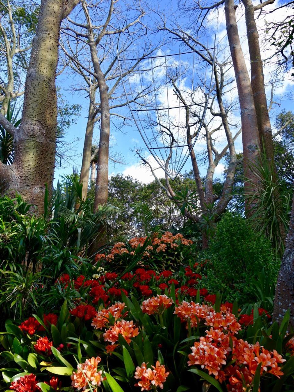 Wharepuke Subtropical Accommodation Kerikeri Extérieur photo