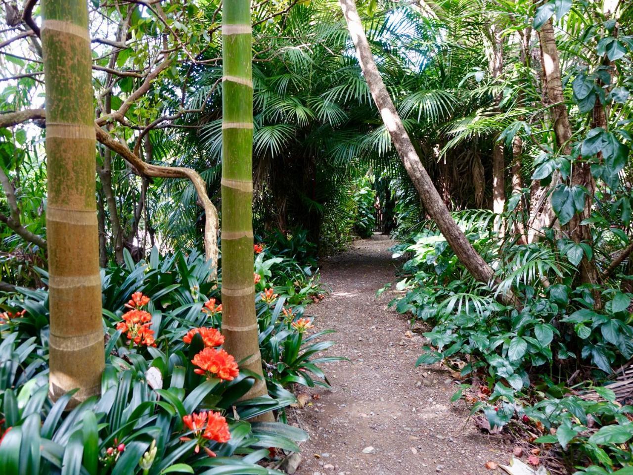 Wharepuke Subtropical Accommodation Kerikeri Extérieur photo
