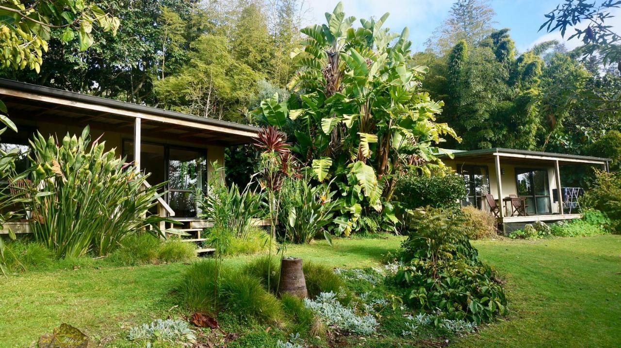 Wharepuke Subtropical Accommodation Kerikeri Extérieur photo
